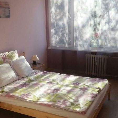 Cosy Place Close To The Center Sofia Buitenkant foto